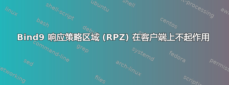 Bind9 响应策略区域 (RPZ) 在客户端上不起作用