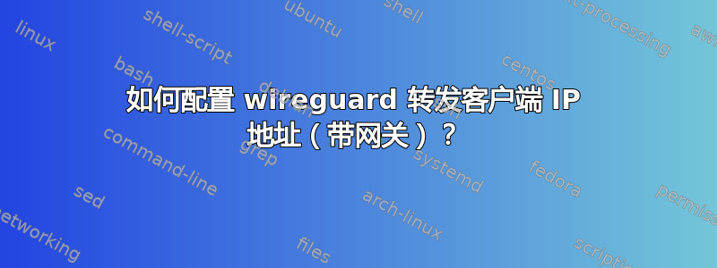 如何配置 wireguard 转发客户端 IP 地址（带网关）？