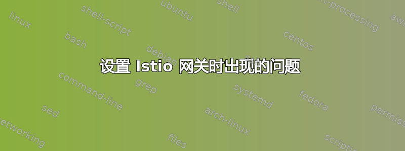 设置 Istio 网关时出现的问题