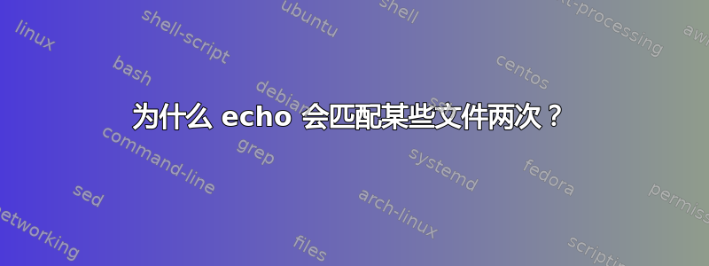 为什么 echo 会匹配某些文件两次？