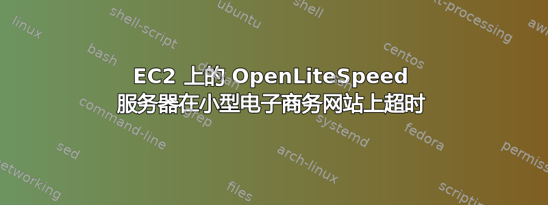 EC2 上的 OpenLiteSpeed 服务器在小型电子商务网站上超时