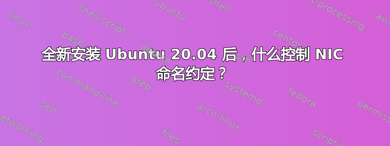 全新安装 Ubuntu 20.04 后，什么控制 NIC 命名约定？