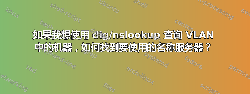 如果我想使用 dig/nslookup 查询 VLAN 中的机器，如何找到要使用的名称服务器？