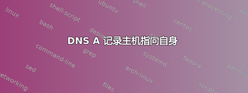 DNS A 记录主机指向自身