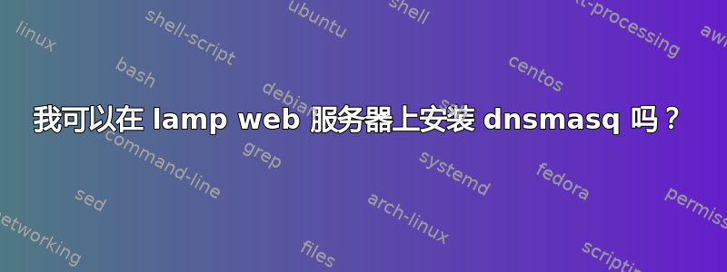 我可以在 lamp web 服务器上安装 dnsmasq 吗？