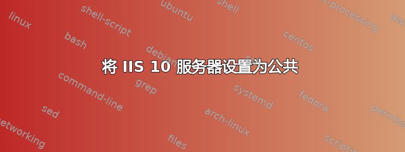 将 IIS 10 服务器设置为公共