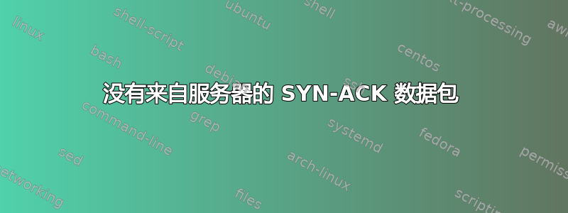 没有来自服务器的 SYN-ACK 数据包