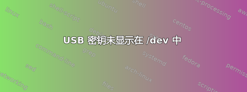 USB 密钥未显示在 /dev 中