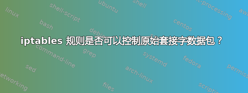 iptables 规则是否可以控制原始套接字数据包？