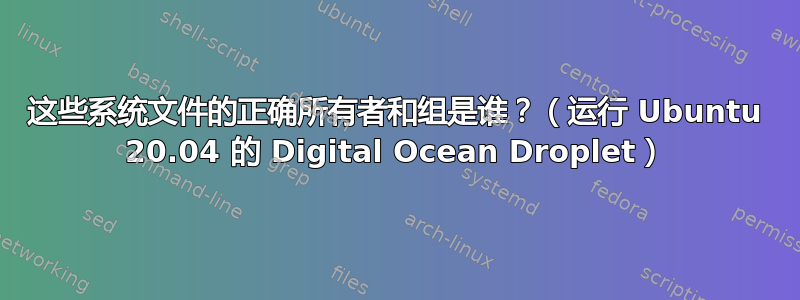 这些系统文件的正确所有者和组是谁？（运行 Ubuntu 20.04 的 Digital Ocean Droplet）