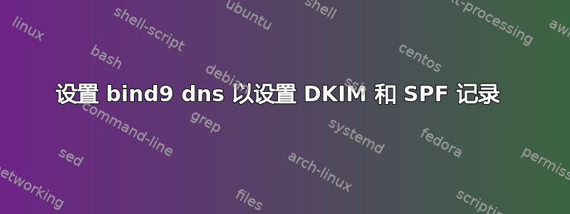 设置 bind9 dns 以设置 DKIM 和 SPF 记录 