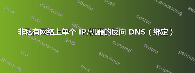 非私有网络上单个 IP/机器的反向 DNS（绑定）