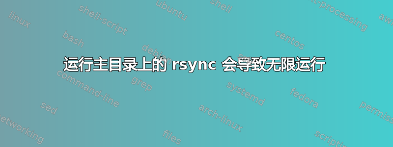 运行主目录上的 rsync 会导致无限运行