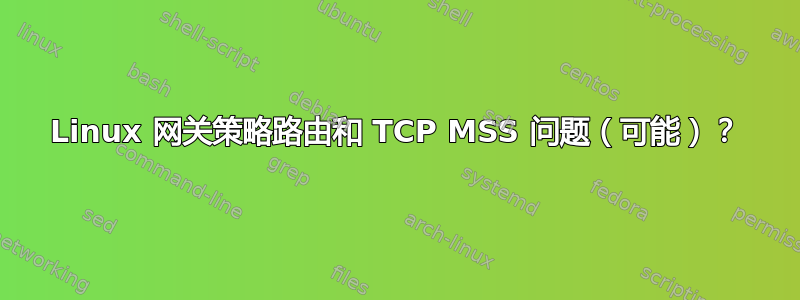 Linux 网关策略路由和 TCP MSS 问题（可能）？