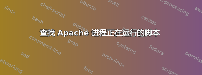 查找 Apache 进程正在运行的脚本