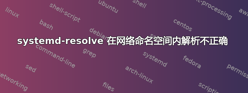 systemd-resolve 在网络命名空间内解析不正确