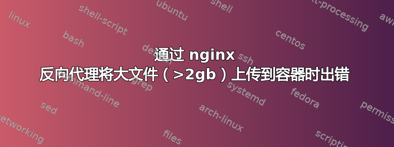 通过 nginx 反向代理将大文件（>2gb）上传到容器时出错