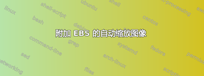 附加 EBS 的自动缩放图像