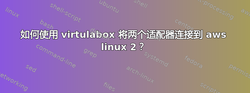 如何使用 virtulabox 将两个适配器连接到 aws linux 2？