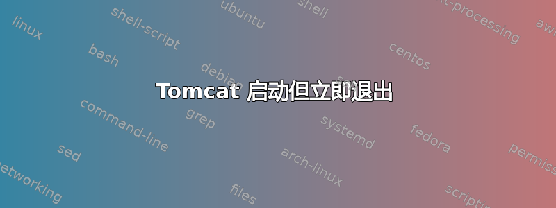 Tomcat 启动但立即退出