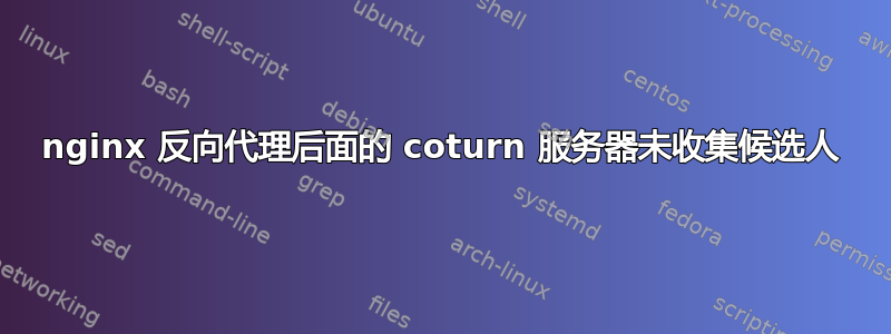 nginx 反向代理后面的 coturn 服务器未收集候选人