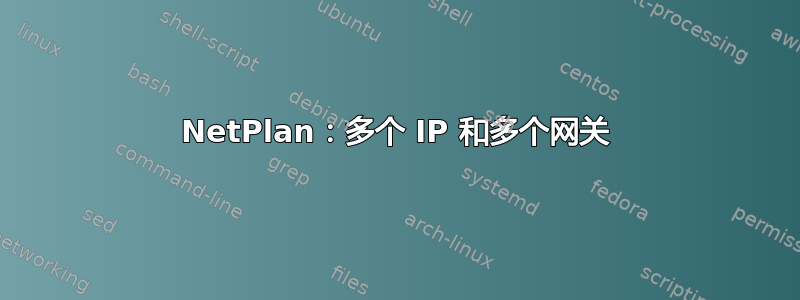 NetPlan：多个 IP 和多个网关