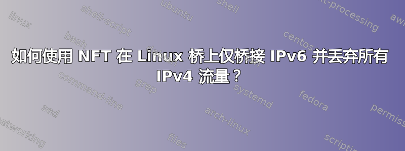 如何使用 NFT 在 Linux 桥上仅桥接 IPv6 并丢弃所有 IPv4 流量？