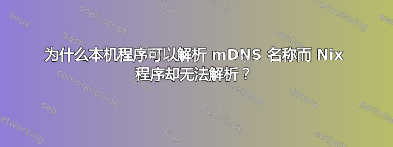 为什么本机程序可以解析 mDNS 名称而 Nix 程序却无法解析？