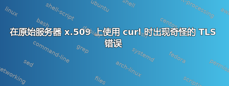 在原始服务器 x.509 上使用 curl 时出现奇怪的 TLS 错误