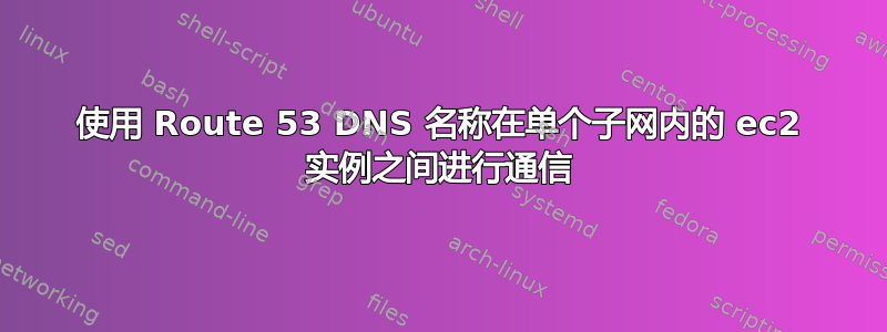 使用 Route 53 DNS 名称在单个子网内的 ec2 实例之间进行通信