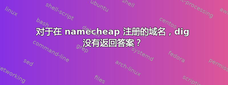 对于在 namecheap 注册的域名，dig 没有返回答案？