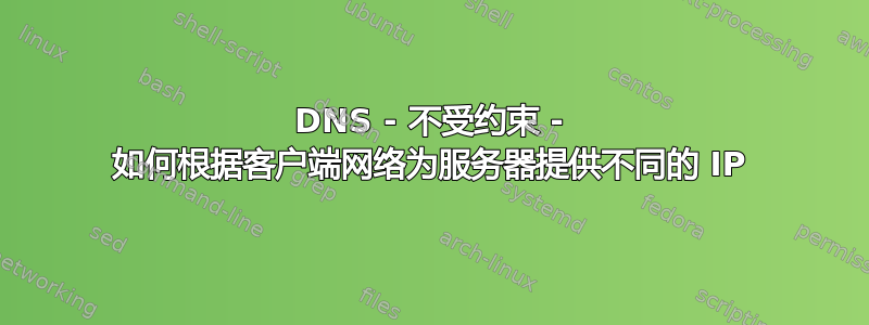 DNS - 不受约束 - 如何根据客户端网络为服务器提供不同的 IP