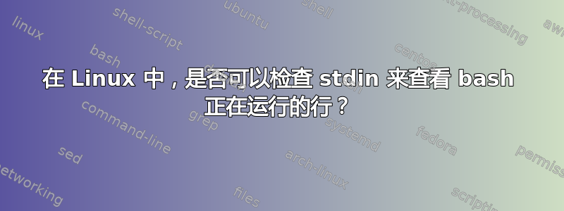 在 Linux 中，是否可以检查 stdin 来查看 bash 正在运行的行？