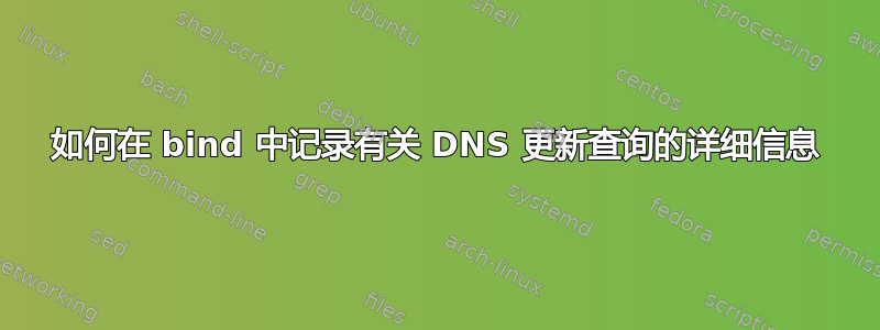 如何在 bind 中记录有关 DNS 更新查询的详细信息