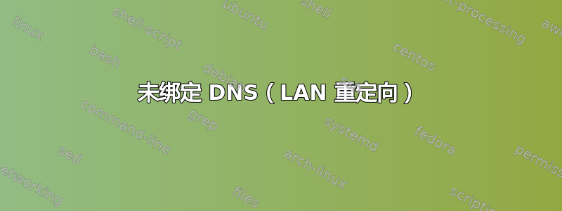 未绑定 DNS（LAN 重定向）