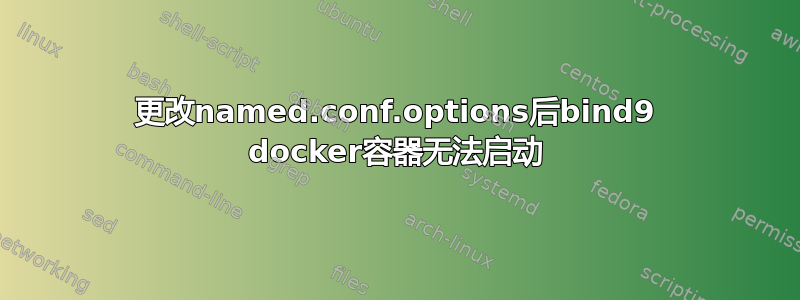 更改named.conf.options后bind9 docker容器无法启动