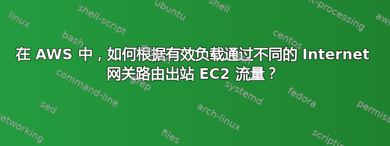 在 AWS 中，如何根据有效负载通过不同的 Internet 网关路由出站 EC2 流量？