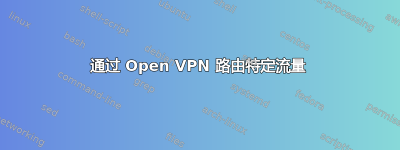 通过 Open VPN 路由特定流量