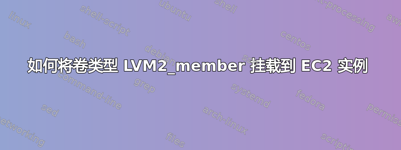 如何将卷类型 LVM2_member 挂载到 EC2 实例