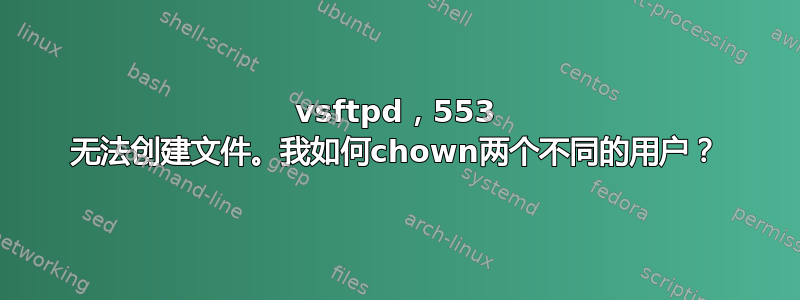 vsftpd，553 无法创建文件。我如何chown两个不同的用户？