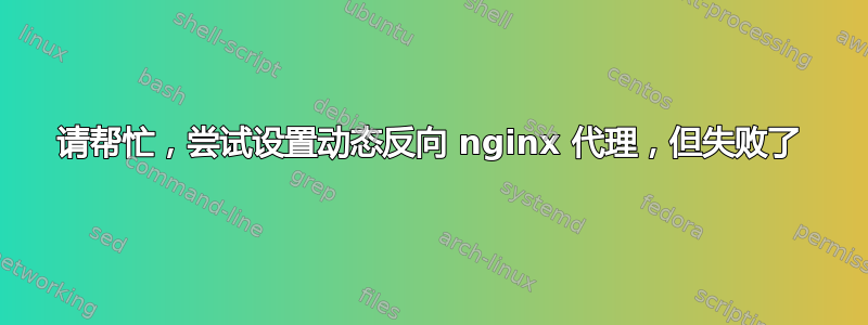 请帮忙，尝试设置动态反向 nginx 代理，但失败了