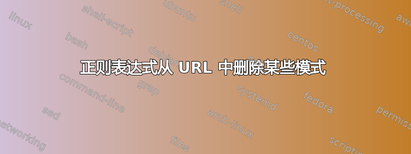 正则表达式从 URL 中删除某些模式