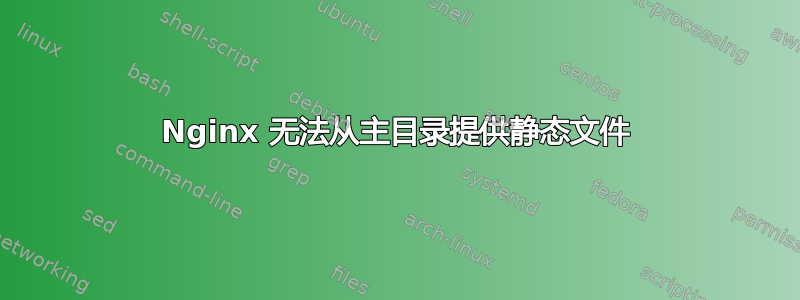 Nginx 无法从主目录提供静态文件