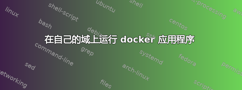 在自己的域上运行 docker 应用程序