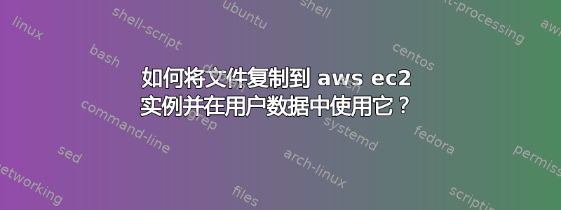 如何将文件复制到 aws ec2 实例并在用户数据中使用它？