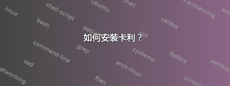 如何安装卡利？