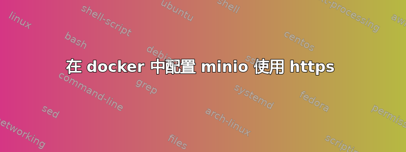 在 docker 中配置 minio 使用 https