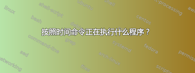 按照时间命令正在执行什么程序？