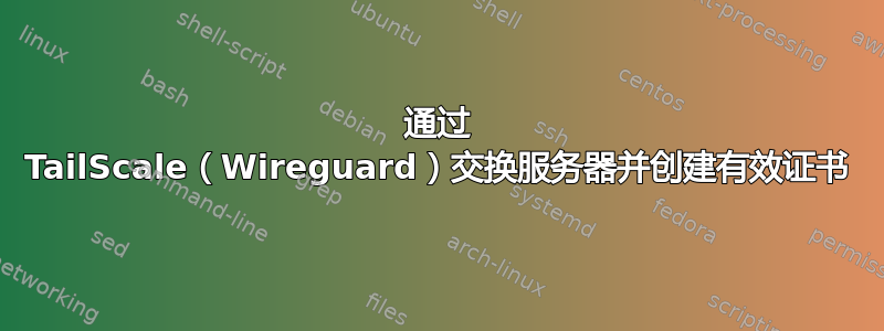 通过 TailScale（Wireguard）交换服务器并创建有效证书