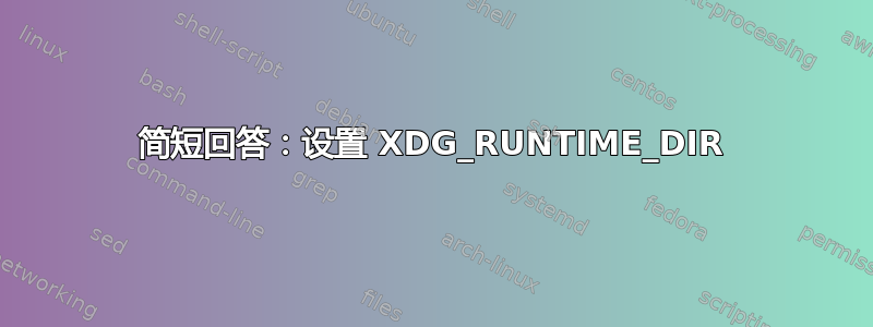 简短回答：设置 XDG_RUNTIME_DIR